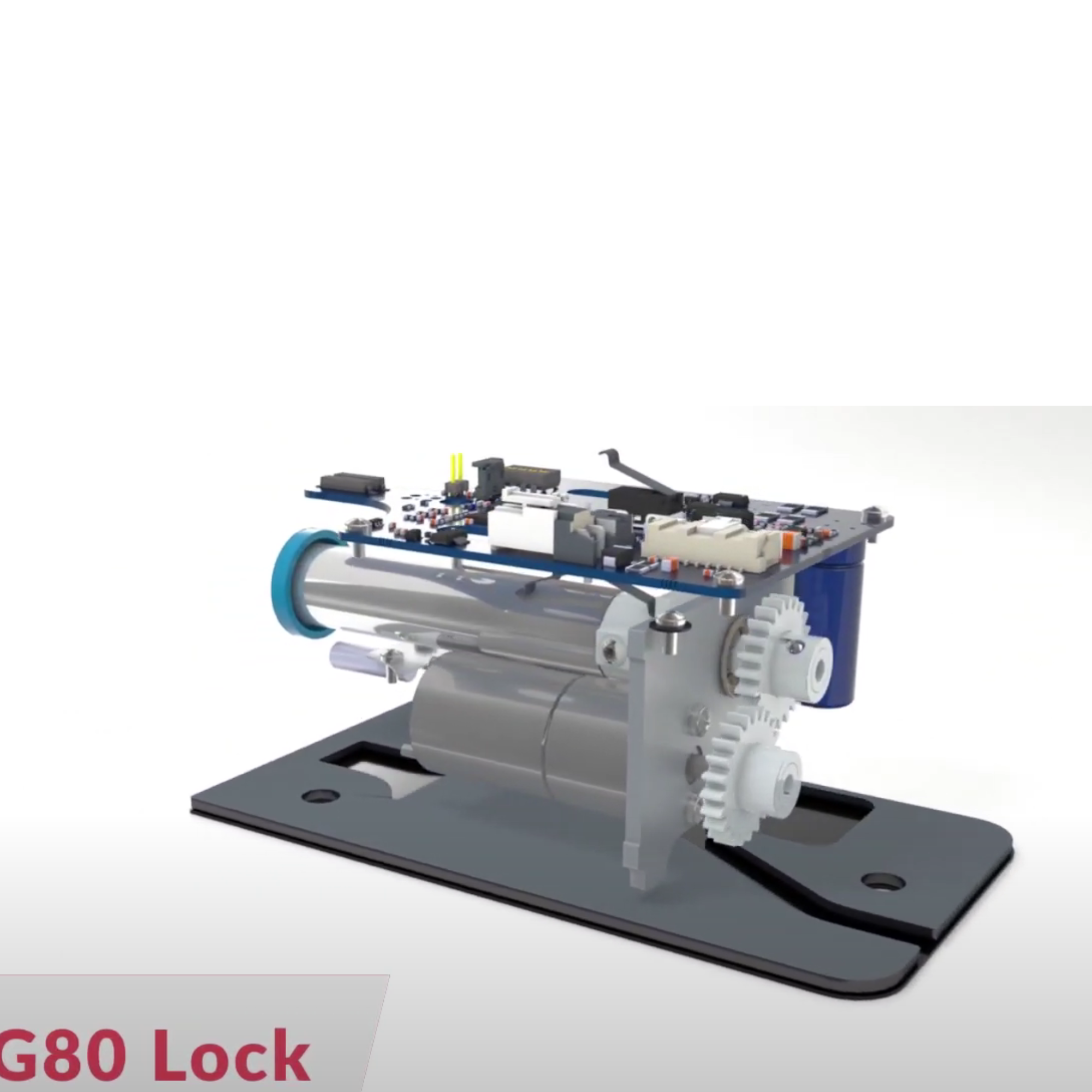 Roller Door Lock