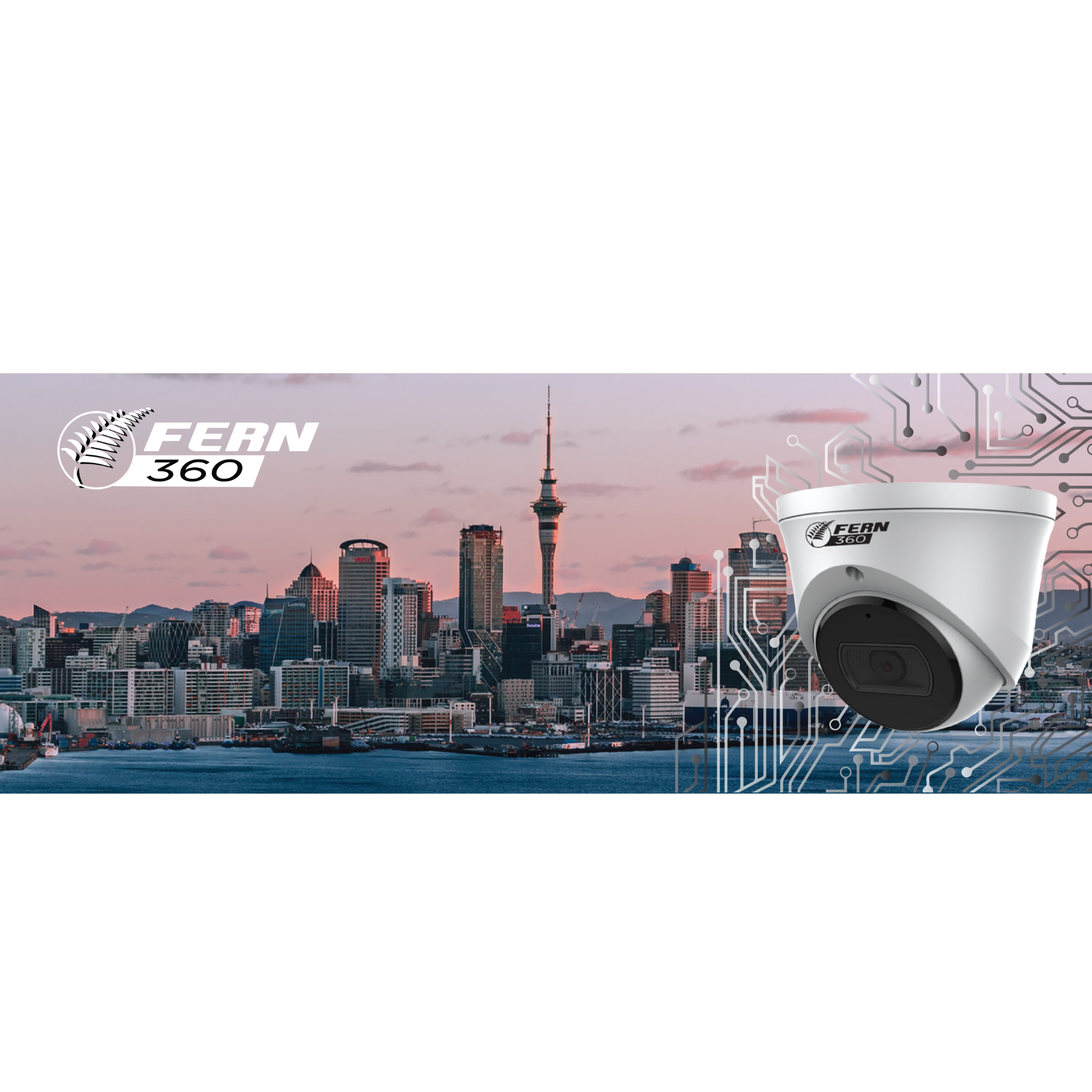 IP Cameras - FERN360